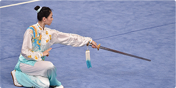 Wushu