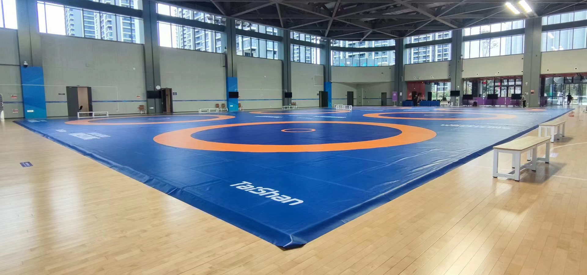 Wrestling